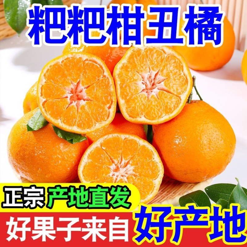 耙耙柑丑橘皮薄多汁纯甜无渣新鲜采摘支持一件代发电商