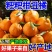 耙耙柑丑橘皮薄多汁纯甜无渣新鲜采摘支持一件代发电商