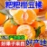 耙耙柑丑橘皮薄多汁纯甜无渣新鲜采摘支持一件代发电商