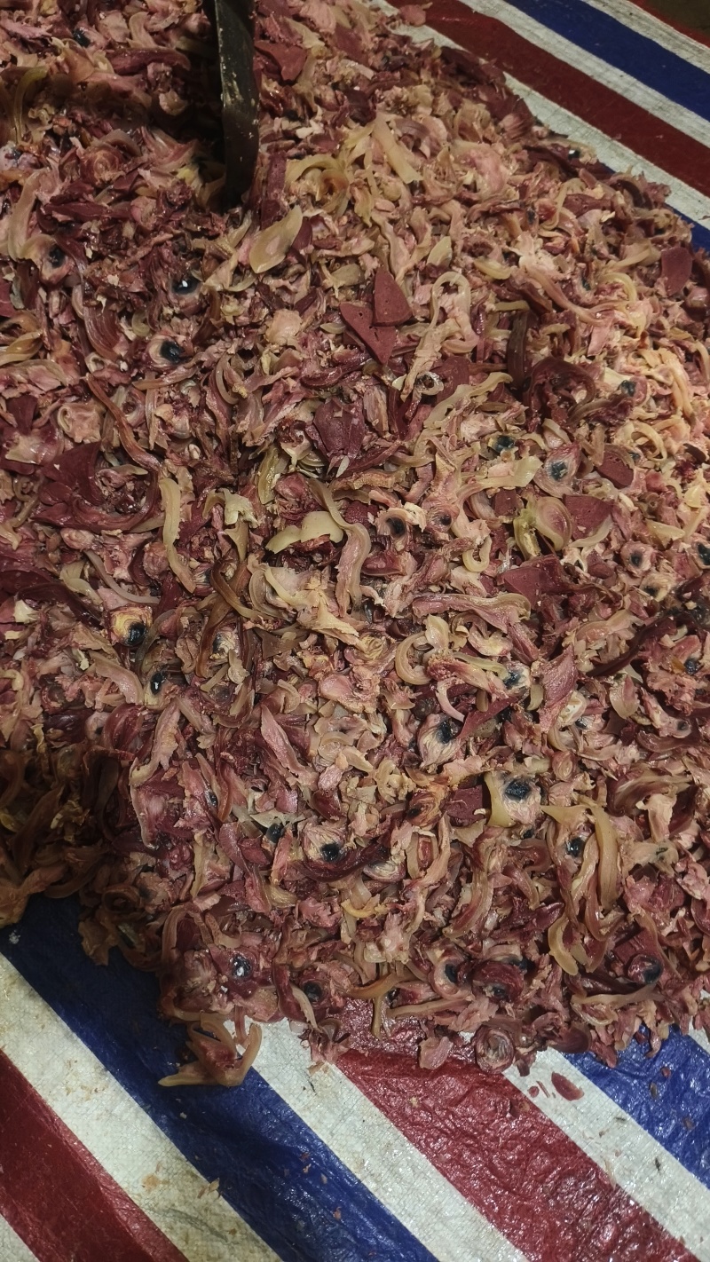 羊杂现切