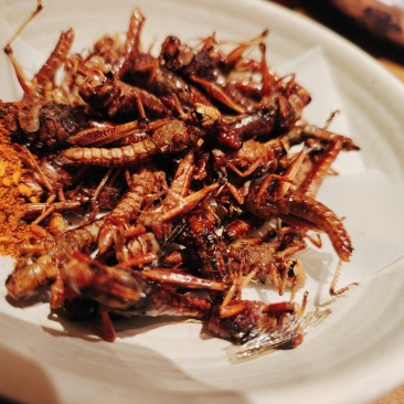 精选农家手工油炸蝗虫开袋即食蚂蚱丰富油炸零食美味新鲜麻辣
