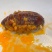 精选农家手工油炸蝗虫开袋即食蚂蚱丰富油炸零食美味新鲜麻辣