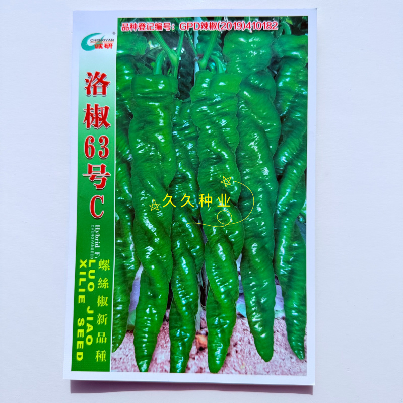 洛椒63号C大果螺丝椒种子抗寒抗病全螺皮薄味辣长果螺丝椒