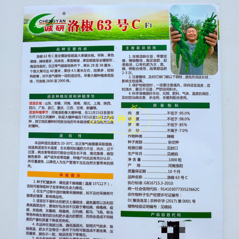洛椒63号C大果螺丝椒种子抗寒抗病全螺皮薄味辣长果螺丝椒