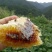 深山野酿蜂蜜，天然***，每口都是自然甜