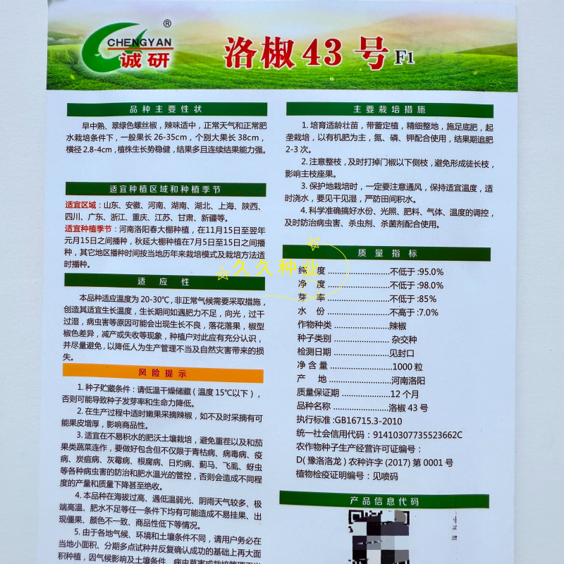 诚研洛椒43号螺丝辣椒种子抗性强口感好辣味浓洛阳猪大肠