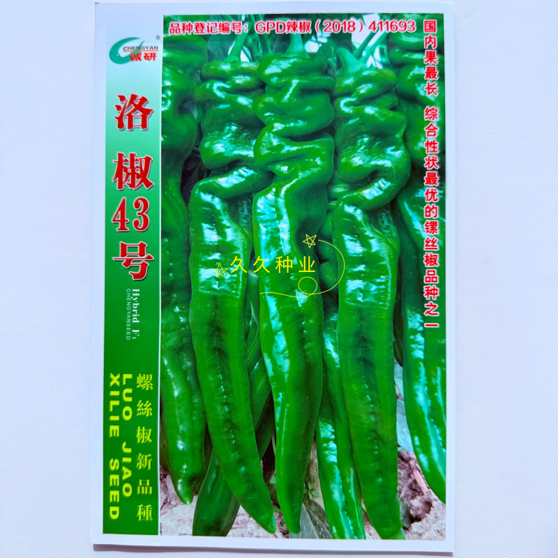 诚研洛椒43号螺丝辣椒种子抗性强口感好辣味浓洛阳猪大肠