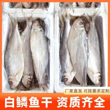 白鳞鱼力鱼鳓鱼腌制鱼鲞整鱼老式咸鱼干野生海水鱼白干鱼批发