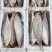 白鳞鱼力鱼鳓鱼腌制鱼鲞整鱼老式咸鱼干野生海水鱼白干鱼批发