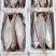 白鳞鱼力鱼鳓鱼腌制鱼鲞整鱼老式咸鱼干野生海水鱼白干鱼批发