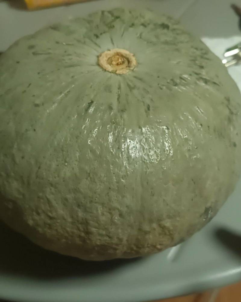 新疆干沙银栗南瓜现货800吨