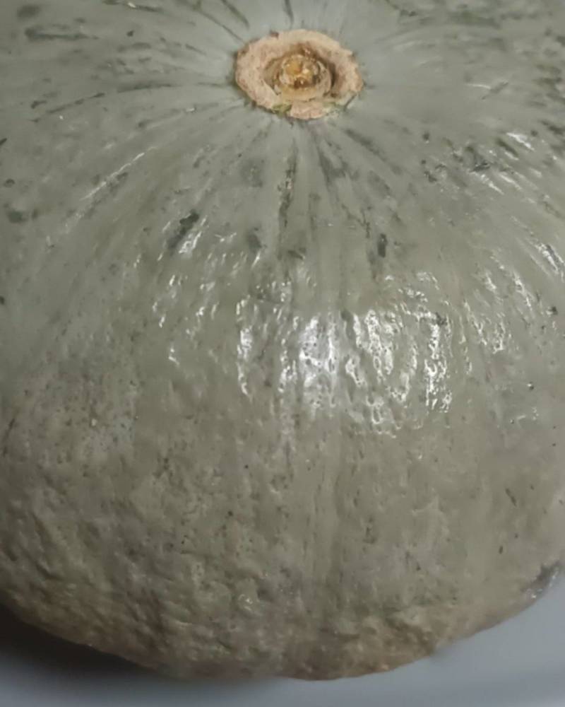 新疆干沙银栗南瓜现货800吨
