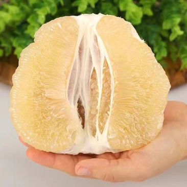 福建平和白心柚子