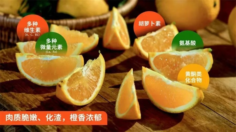 赣南纽荷尔脐橙，全国供应，品质保证，量大从优，欢迎来电