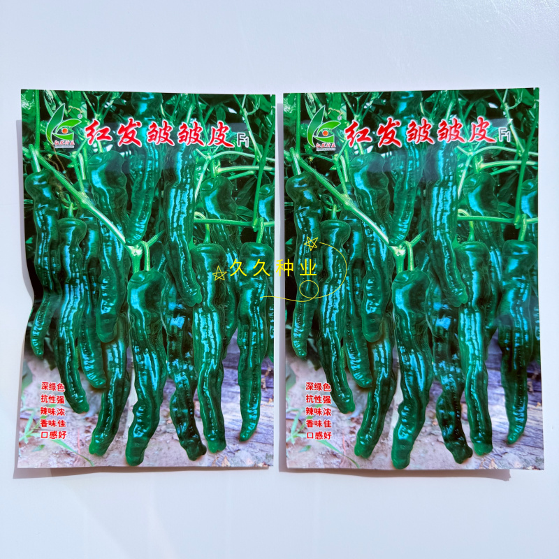 红发皱皱皮辣椒种子杂交早熟抗病辣味浓皮薄质脆大果皱皮椒