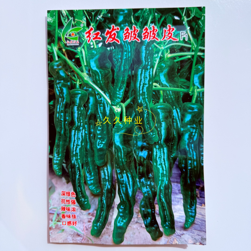 红发皱皱皮辣椒种子杂交早熟抗病辣味浓皮薄质脆大果皱皮椒