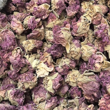 芙蓉花产地直销，大货供应