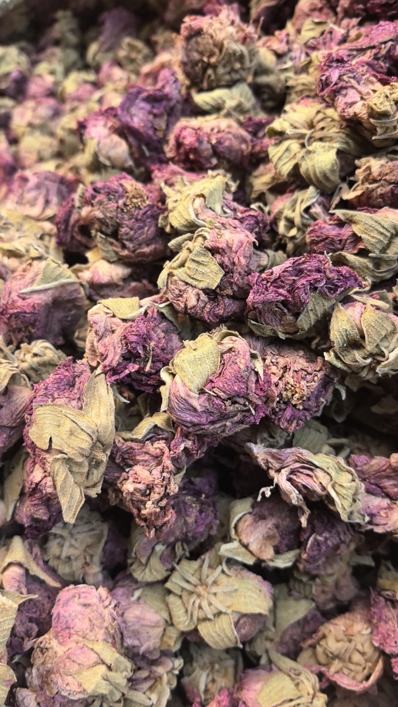 芙蓉花产地直销，大货供应