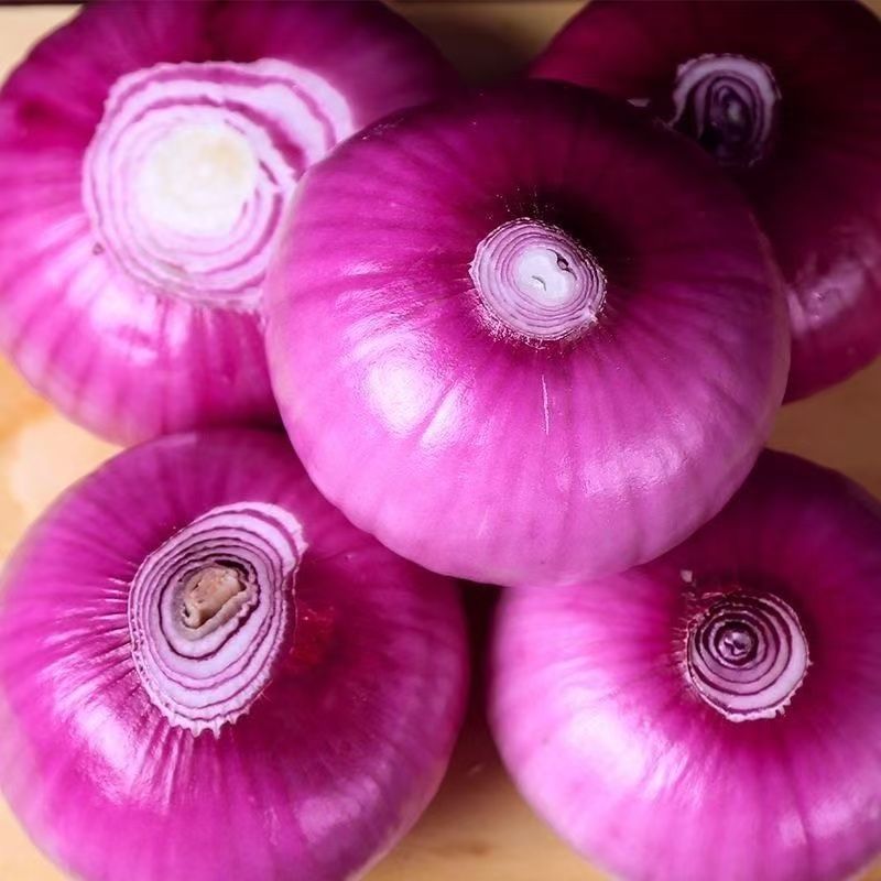 紫皮洋葱红皮现挖蔬菜圆葱一件代发实地看货