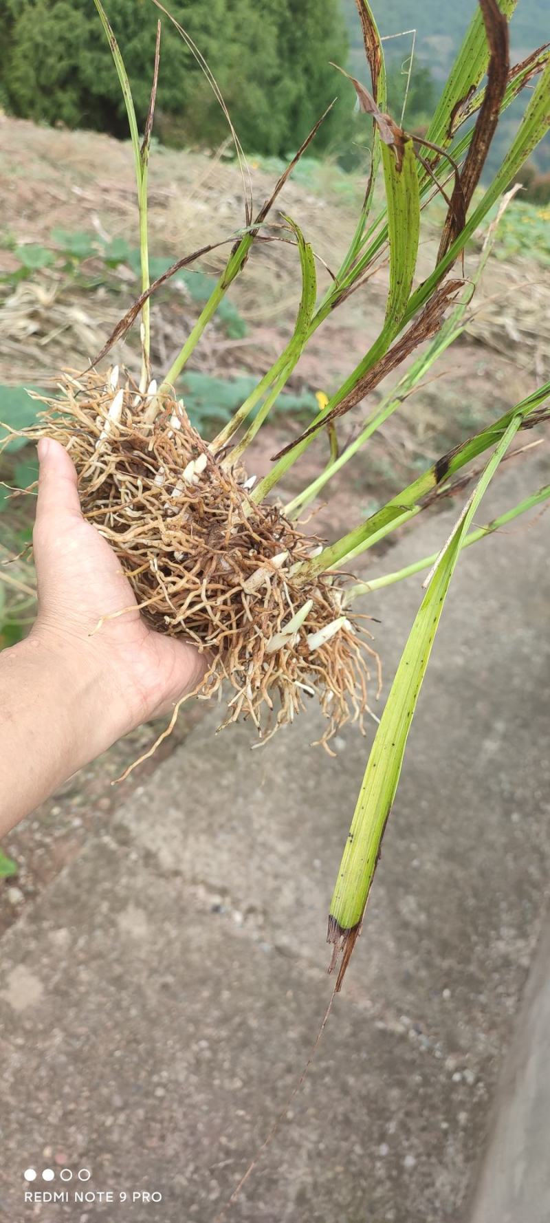 砍价直接聊一聊没其他联系方式
