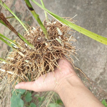 砍价直接聊一聊没其他联系方式