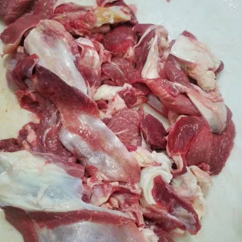牛肉筋，筋头巴脑冷链发货新鲜直供精修去油纯干无水牛大块肉