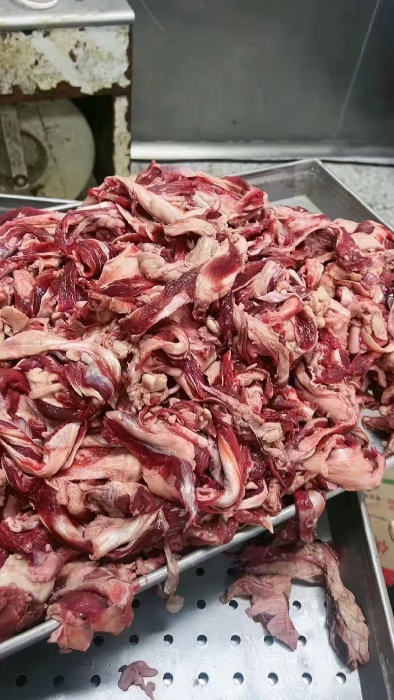 牛肉筋，筋头巴脑冷链发货新鲜直供精修去油纯干无水牛大块肉