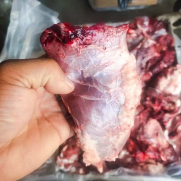 牛坠肉，大块牛碎肉冷链发货新鲜直供可批发可一件代发