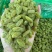 河南郑州葡萄干2023年新葡萄干上市，物美价格好