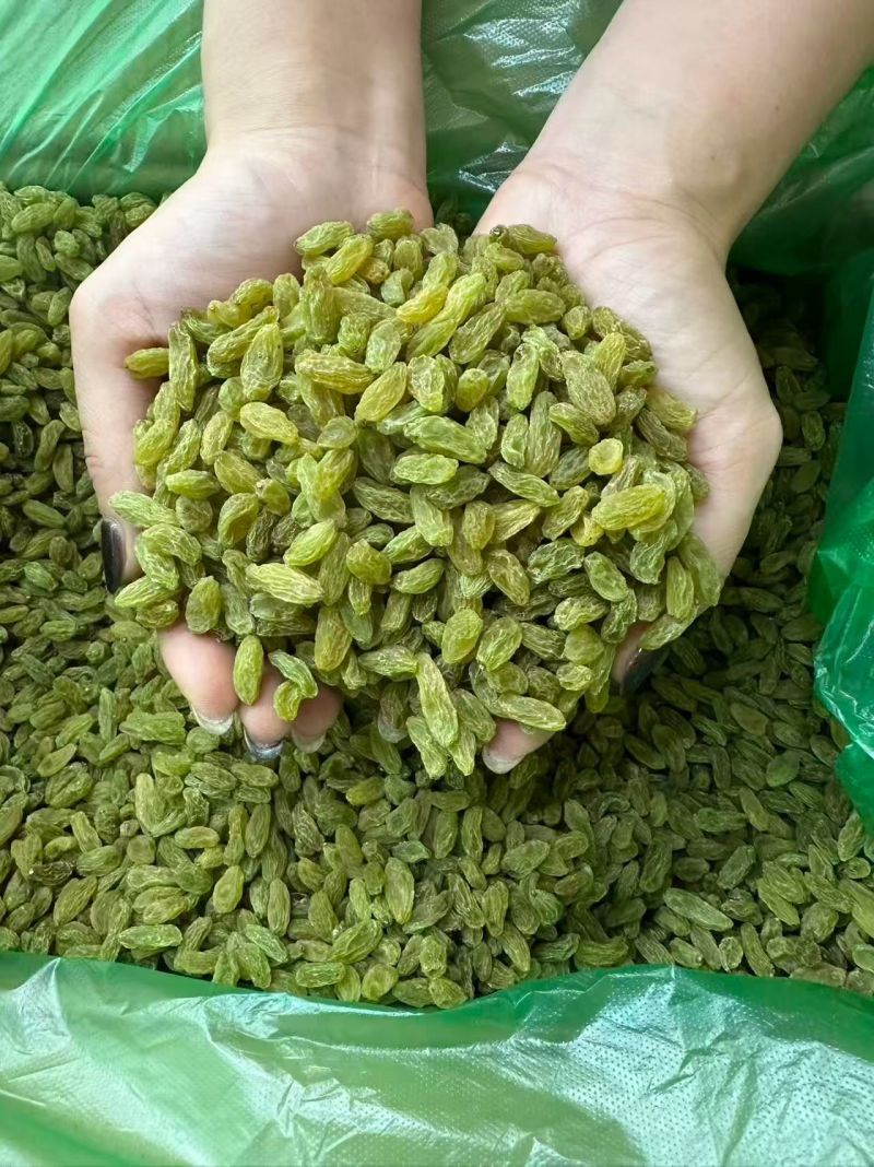 河南郑州葡萄干2023年新葡萄干上市，物美价格好