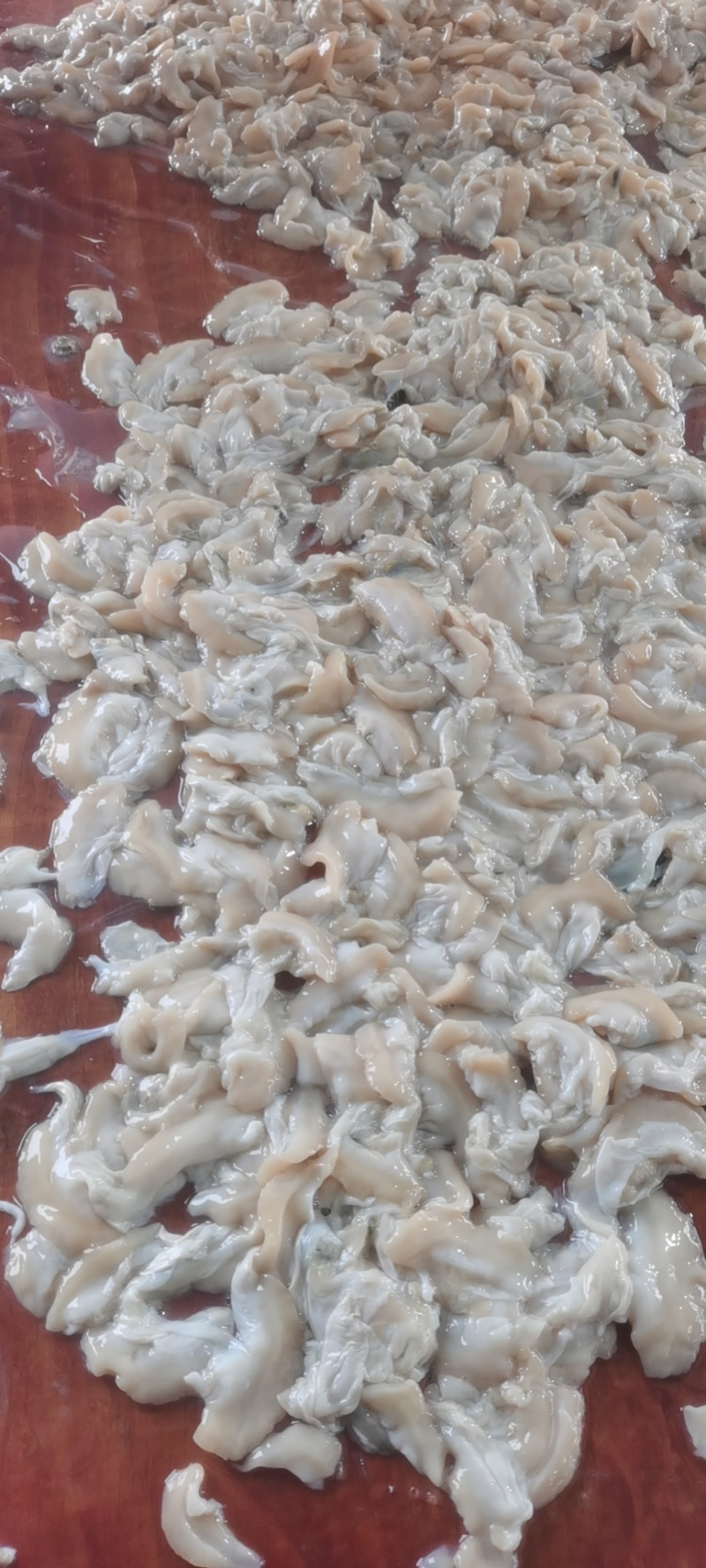 各种河蚌肉稳定供应
