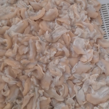 各种河蚌肉稳定供应