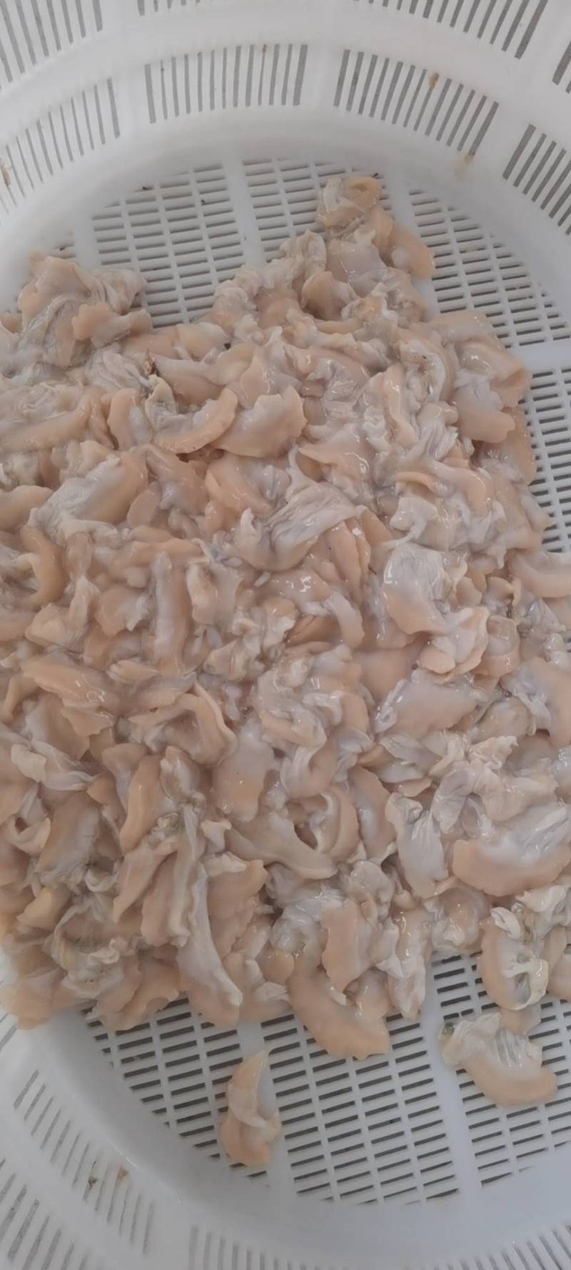 各种河蚌肉稳定供应