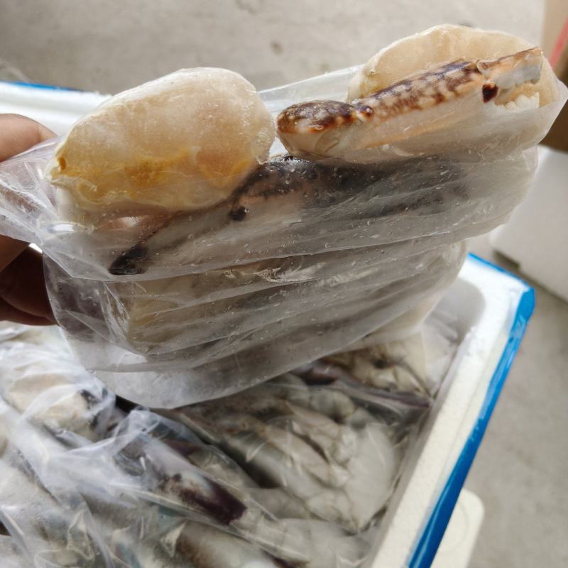 蟹块梭子蟹蟹钳蟹块