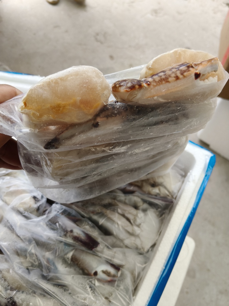 蟹块梭子蟹蟹钳蟹块