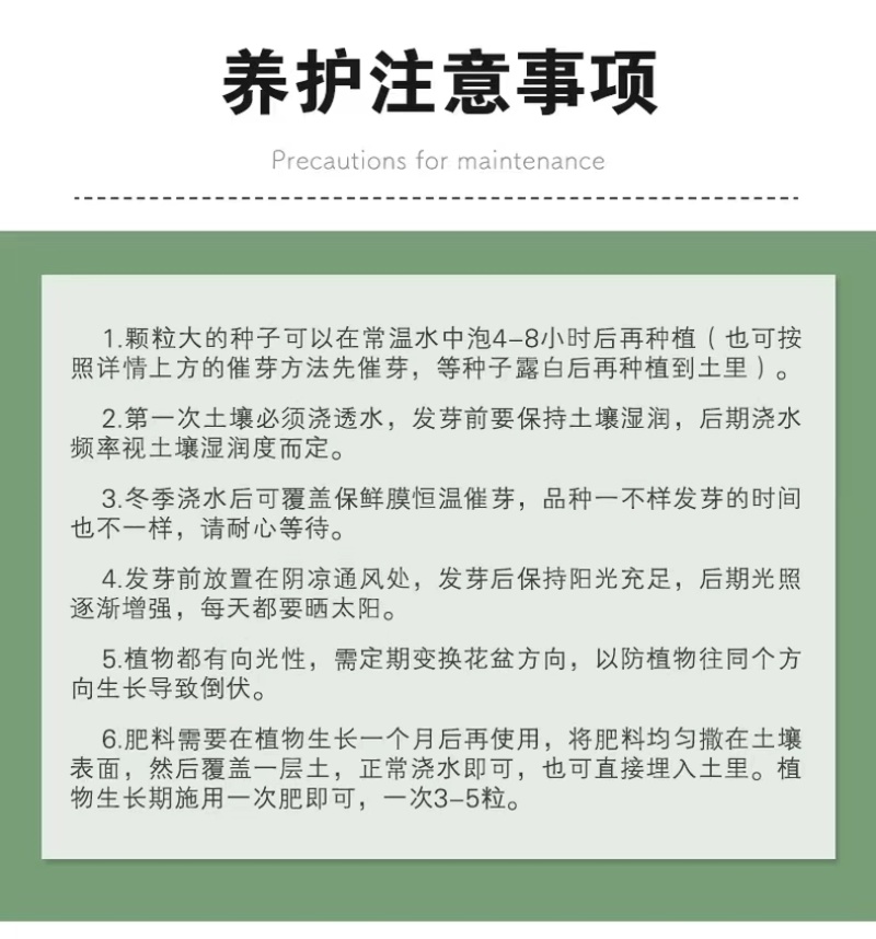 包邮）向日葵种子向日葵籽阳台盆栽四季播种开花高杆观赏