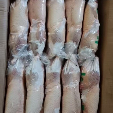 一级白条鸭