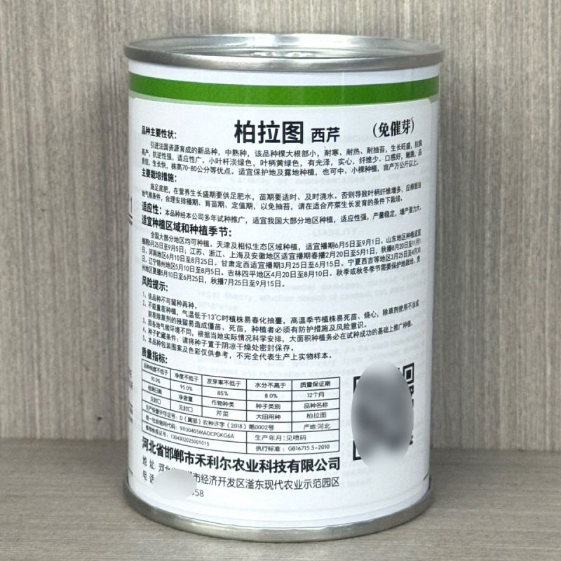 柏拉图西芹种子文图拉黄绿西芹法国皇后西芹种籽高产抗病纤维