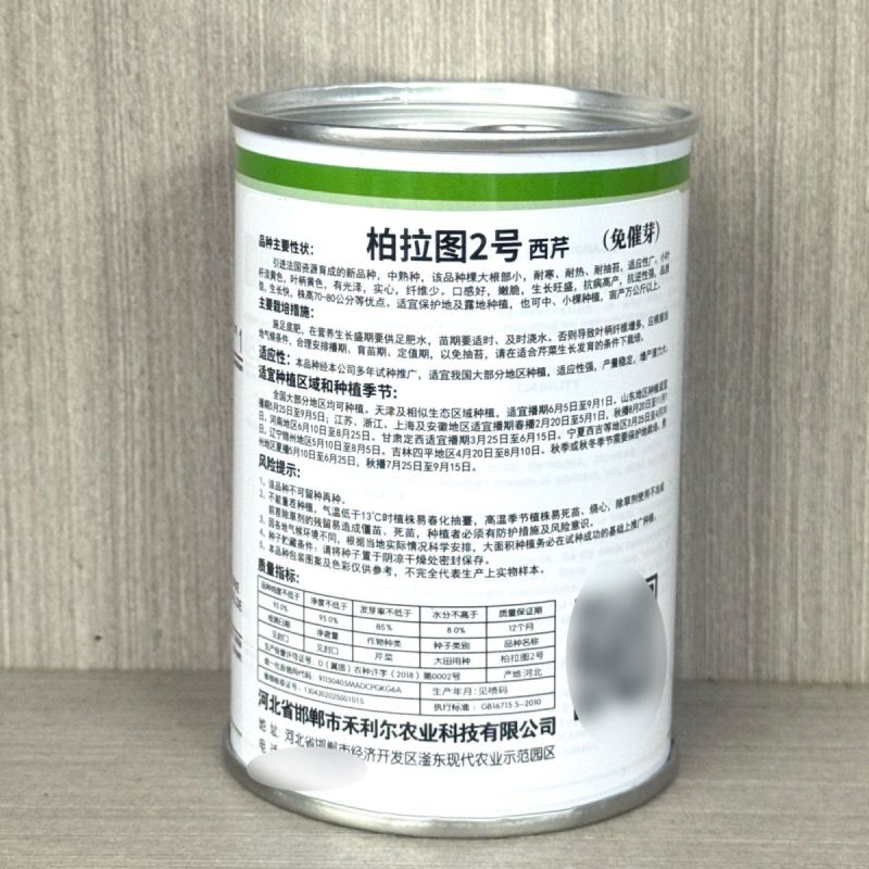 柏拉图西芹种子文图拉黄绿西芹法国皇后西芹种籽高产抗病纤维