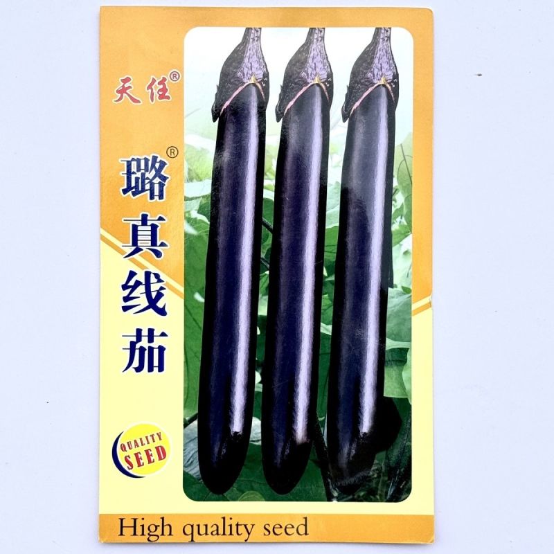 天任璐真线茄种子早熟高产长线茄子紫黑亮丽长茄种籽特长茄子