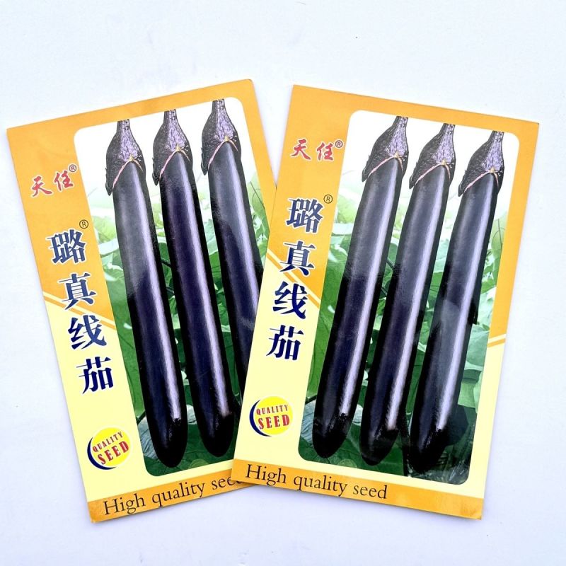 天任璐真线茄种子早熟高产长线茄子紫黑亮丽长茄种籽特长茄子
