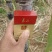 山东本地水果甘蔗黑皮甘蔗商超直供量大从优发货加急