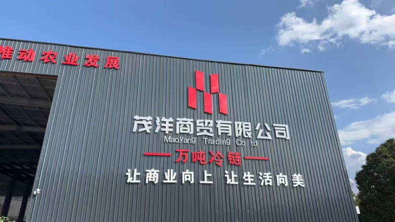 云南文山精品生姜小黄姜质量保证量大从优代发全国