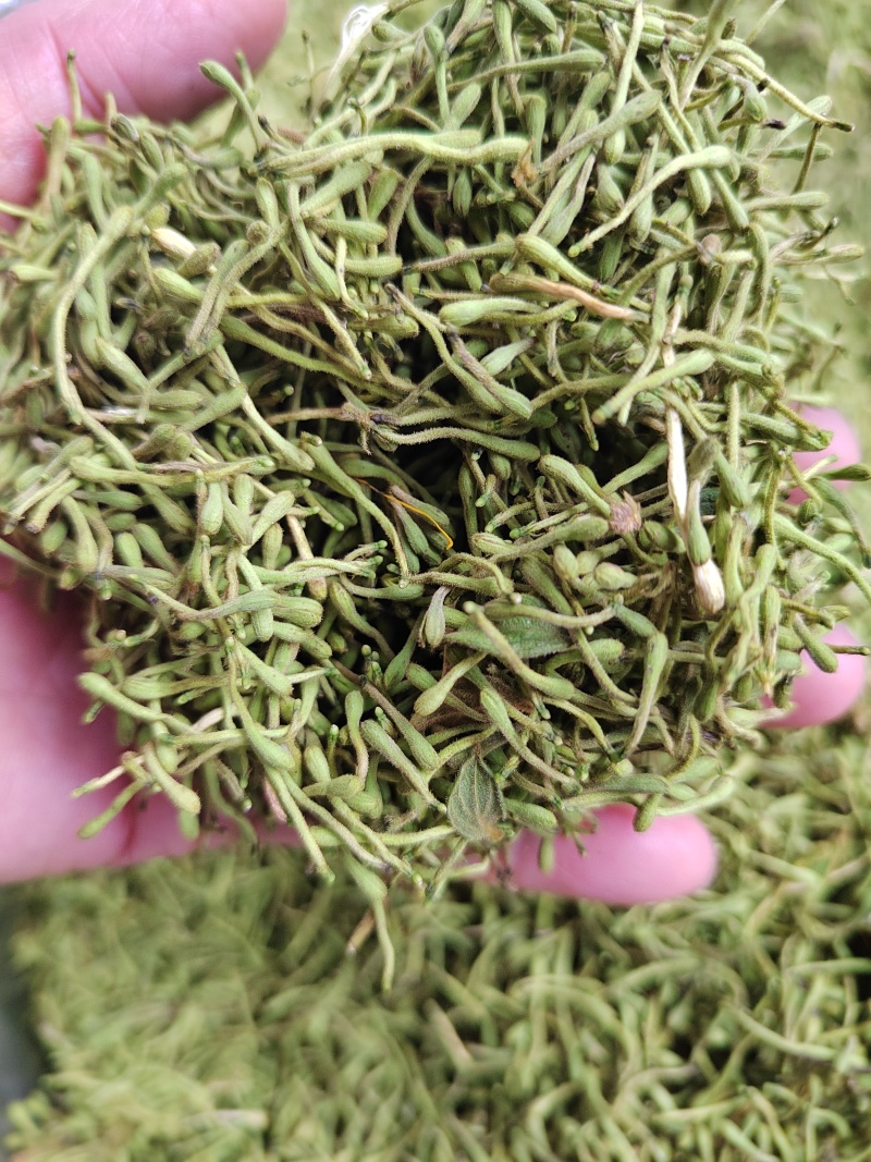 野生金银花花籽，生晒无硫，具有淡淡的清香味