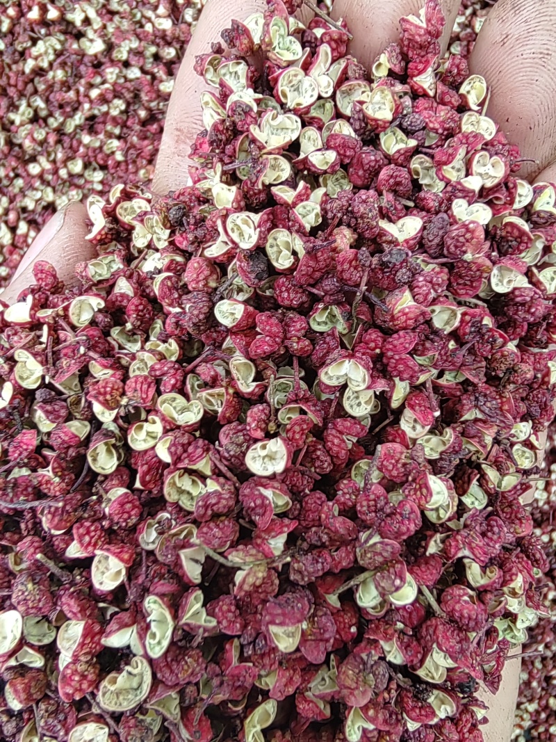 茂汶花椒