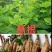 【广西葛根】优质葛根基地直供量大从优代发全国