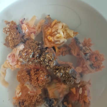 海参花泡发5倍便宜处理