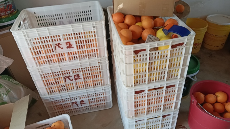 赣南脐橙纽荷尔