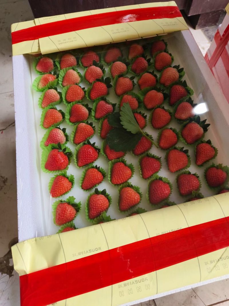 徐州贾汪耿集草莓开始少量供应代收代购，支持一件代发