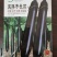 黑骄子长茄改良黑霸渝茄12号种子耐老化外型美观
